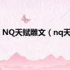 NQ天赋雕文（nq天赋）