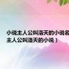 小说主人公叫洛天的小说名查询（主人公叫洛天的小说）