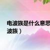 电波族是什么意思（电波族）