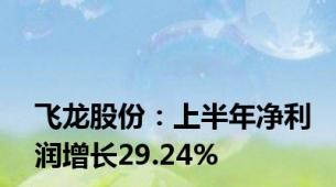 飞龙股份：上半年净利润增长29.24%