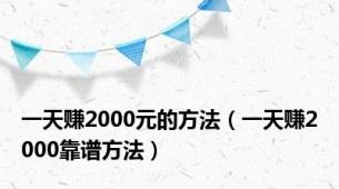 一天赚2000元的方法（一天赚2000靠谱方法）