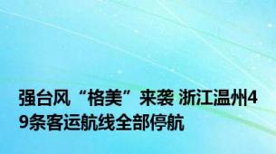 强台风“格美”来袭 浙江温州49条客运航线全部停航