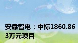 安靠智电：中标1860.863万元项目