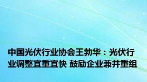 中国光伏行业协会王勃华：光伏行业调整宜重宜快 鼓励企业兼并重组