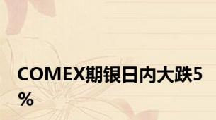 COMEX期银日内大跌5%