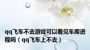 qq飞车不去游戏可以看见车库进程吗（qq飞车上不去）