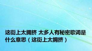 这街上太拥挤 太多人有秘密歌词是什么意思（这街上太拥挤）