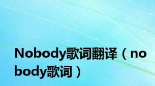 Nobody歌词翻译（nobody歌词）