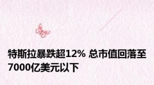 特斯拉暴跌超12% 总市值回落至7000亿美元以下