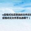 u盘格式化后里面的文件还在吗（u盘格式化文件系统选哪个）