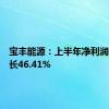 宝丰能源：上半年净利润同比增长46.41%