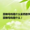 圆锥母线是什么意思数学图解（圆锥母线是什么）