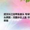 武汉长江边甲鱼冒头 专家谈甲鱼冒头原因：汛期水位上涨 寻找新的栖息地