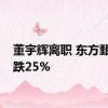 董宇辉离职 东方甄选大跌25%