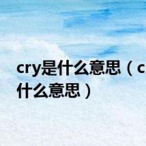 cry是什么意思（crm是什么意思）