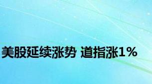 美股延续涨势 道指涨1%