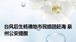 台风后生蚝遍地市民组团赶海 泉州公安提醒