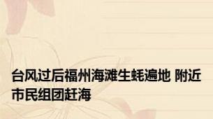 台风过后福州海滩生蚝遍地 附近市民组团赶海