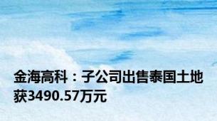 金海高科：子公司出售泰国土地获3490.57万元