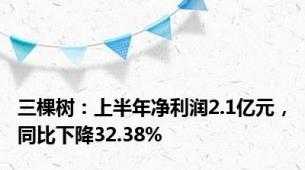 三棵树：上半年净利润2.1亿元，同比下降32.38%