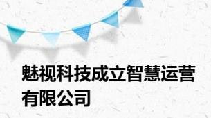 魅视科技成立智慧运营有限公司