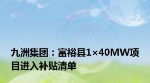 九洲集团：富裕县1×40MW项目进入补贴清单