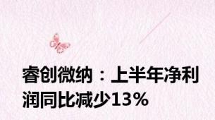 睿创微纳：上半年净利润同比减少13%