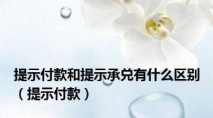 提示付款和提示承兑有什么区别（提示付款）