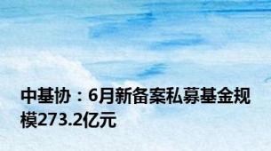 中基协：6月新备案私募基金规模273.2亿元