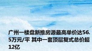 广州一楼盘新推房源最高单价达56.5万元/平 其中一套顶层复式总价超12亿