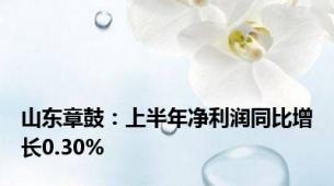 山东章鼓：上半年净利润同比增长0.30%