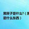 黑匣子是什么?（黑匣子是什么东西）