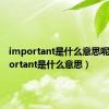 important是什么意思呢（important是什么意思）