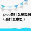 picu是什么意思啊（picu是什么意思）