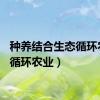 种养结合生态循环农业（循环农业）