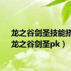 龙之谷剑圣技能搭配（龙之谷剑圣pk）