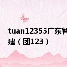 tuan12355广东智慧团建（团123）