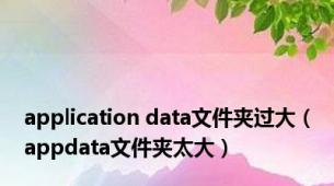 application data文件夹过大（appdata文件夹太大）