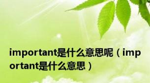 important是什么意思呢（important是什么意思）