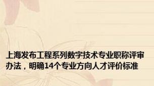 上海发布工程系列数字技术专业职称评审办法，明确14个专业方向人才评价标准