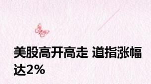 美股高开高走 道指涨幅达2%