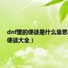 dnf里的使徒是什么意思（dnf使徒大全）