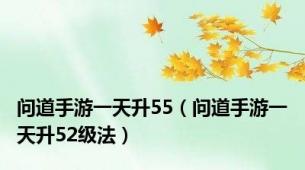 问道手游一天升55（问道手游一天升52级法）