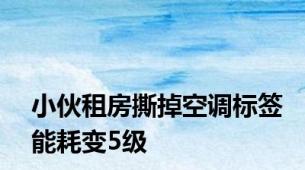 小伙租房撕掉空调标签能耗变5级