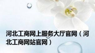 河北工商网上服务大厅官网（河北工商网站官网）