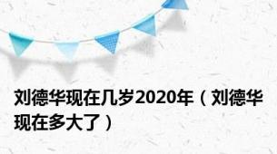 刘德华现在几岁2020年（刘德华现在多大了）