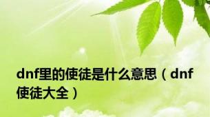 dnf里的使徒是什么意思（dnf使徒大全）