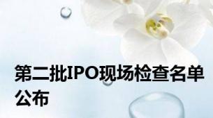 第二批IPO现场检查名单公布