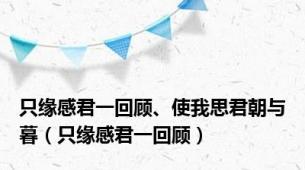 只缘感君一回顾、使我思君朝与暮（只缘感君一回顾）