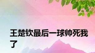 王楚钦最后一球帅死我了